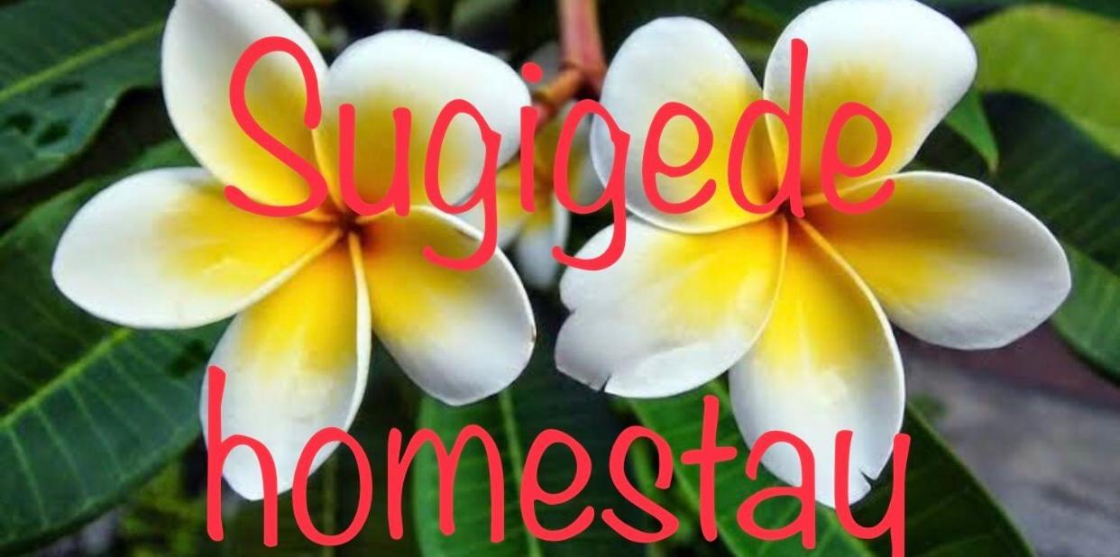 Sugi Gede Homestay Singaraja Εξωτερικό φωτογραφία